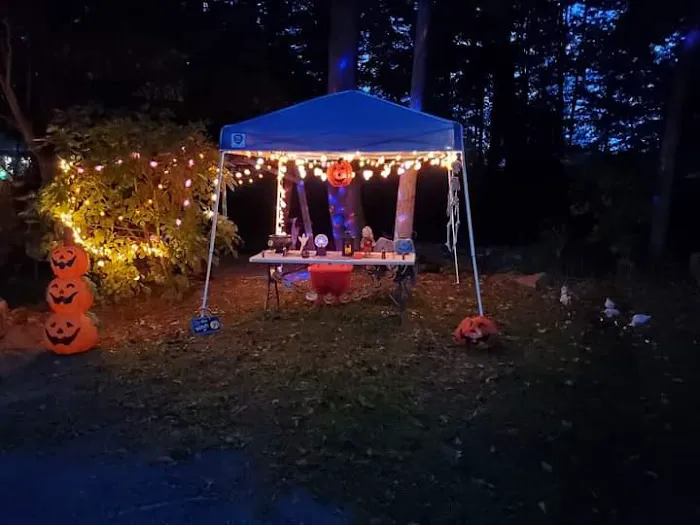 Choice Camping Court Picture 9