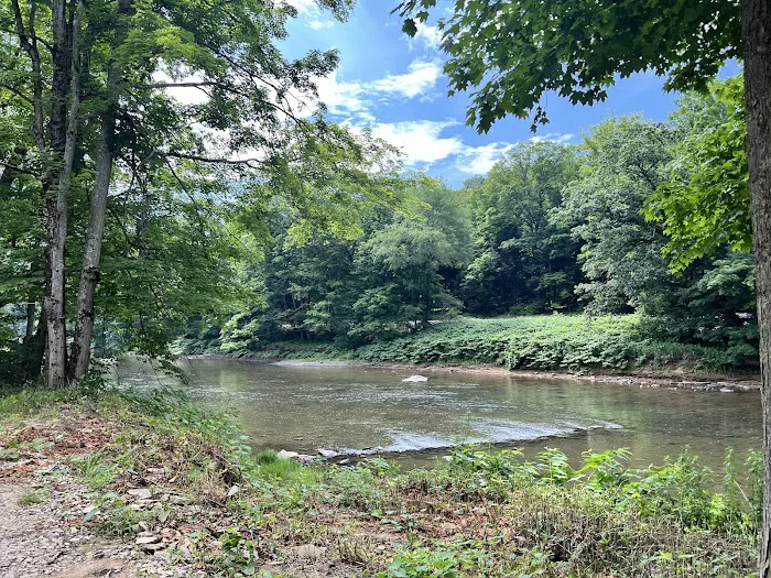 Chess Falls Campground Picture 4
