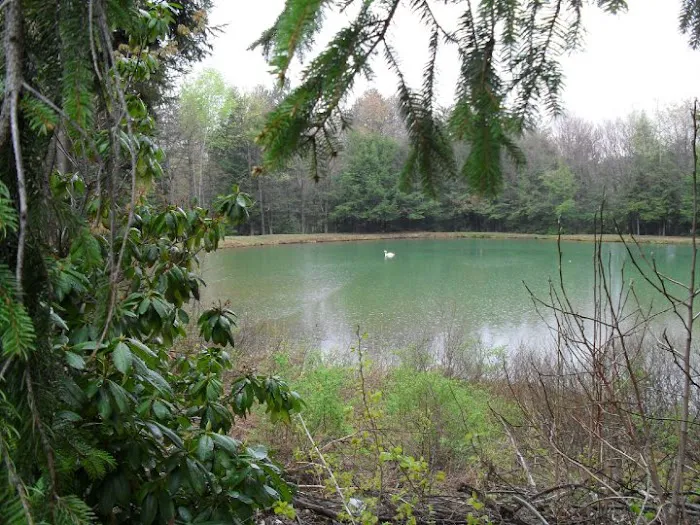 Woodland Park Campground Picture 8