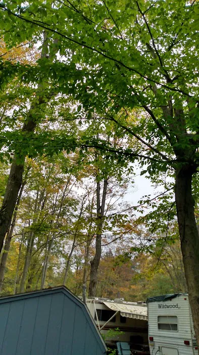Woodland Park Campground Picture 6