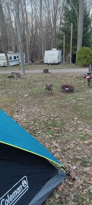 Woodland Park Campground Picture 9