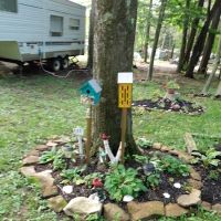 Woodland Park Campground ico