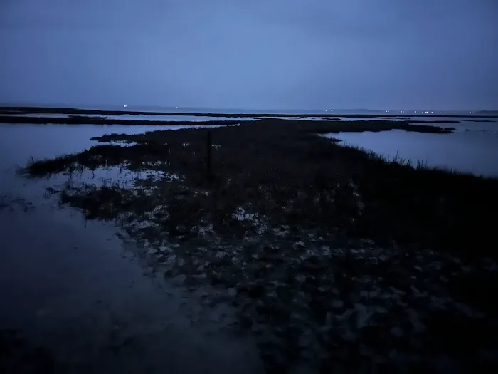 TIngles Island Camp, Assateague National Park Picture 6