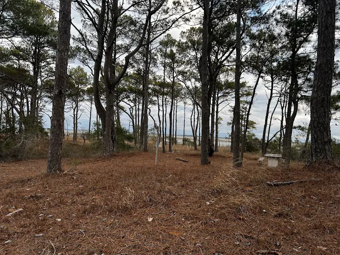TIngles Island Camp, Assateague National Park Picture 2
