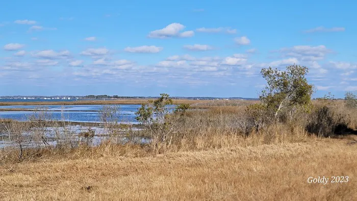 TIngles Island Camp, Assateague National Park Picture 1