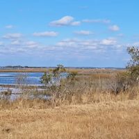 TIngles Island Camp, Assateague National Park ico