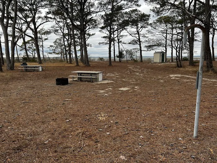 TIngles Island Camp, Assateague National Park Picture 7