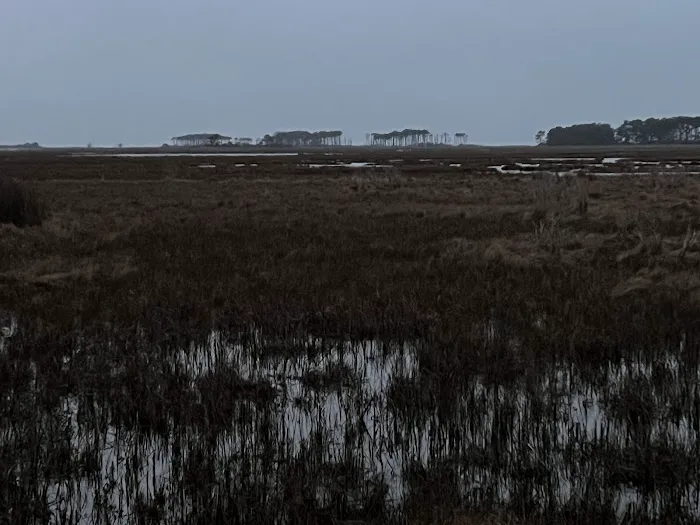 TIngles Island Camp, Assateague National Park Picture 4