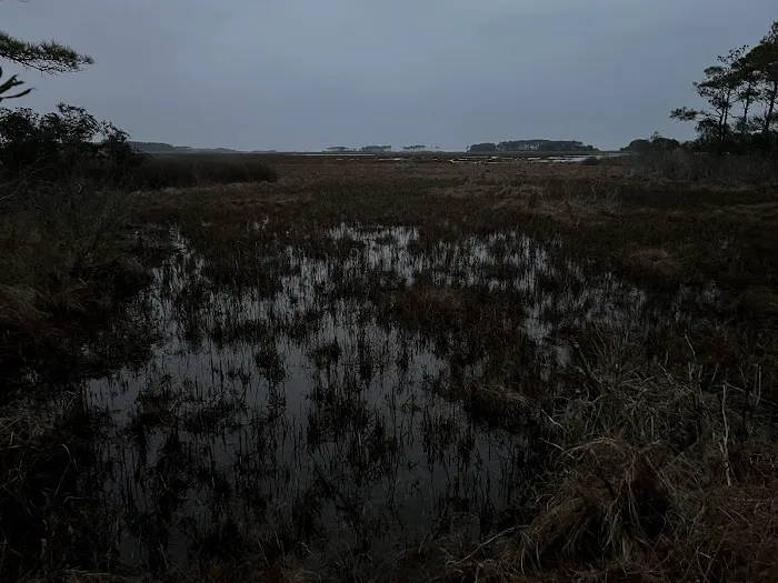 TIngles Island Camp, Assateague National Park Picture 9