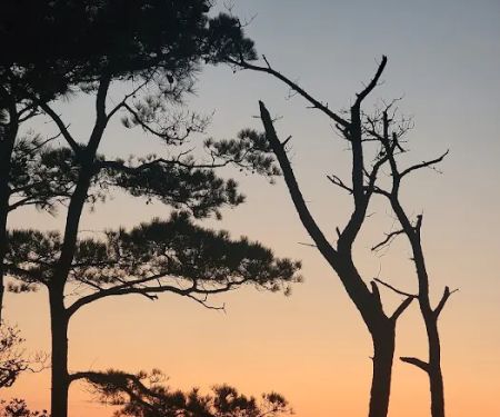 Back Country Camping-Tingles Island Campground