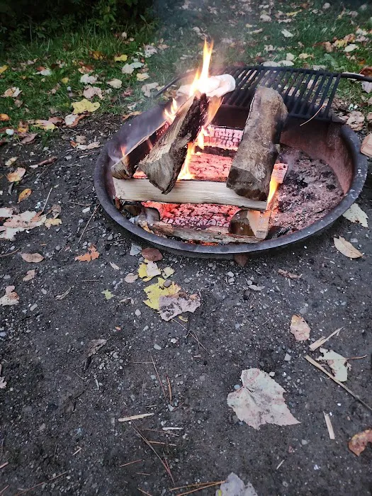 Webster Park Campgrounds Picture 9