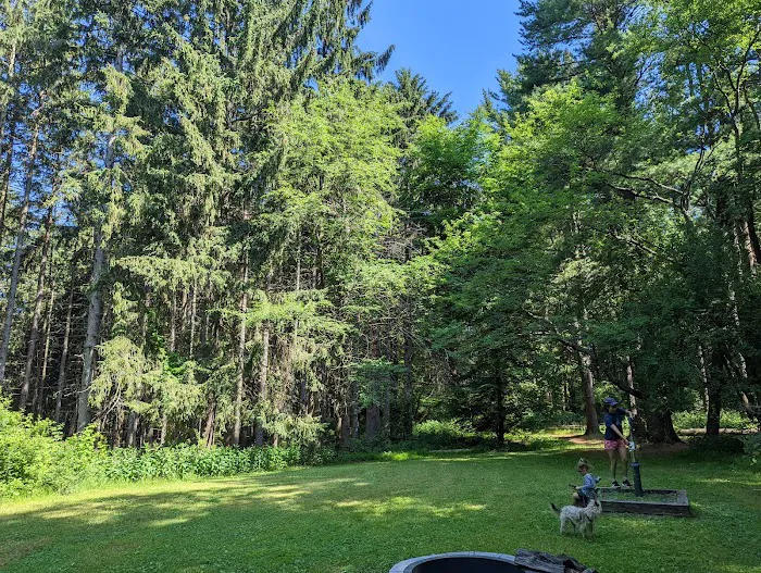 Webster Park Campgrounds Picture 5