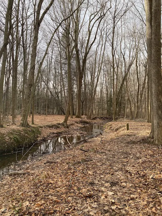 Webster Park Campgrounds Picture 1