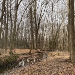 Webster Park Campgrounds