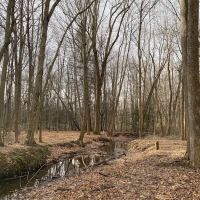 Webster Park Campgrounds ico