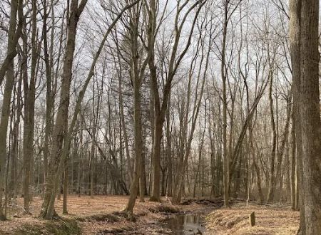 Webster Park Campgrounds