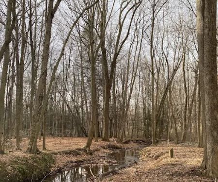 Webster Park Campgrounds