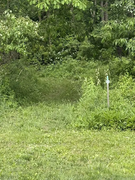 Lokee-Hikee Campground Picture 8