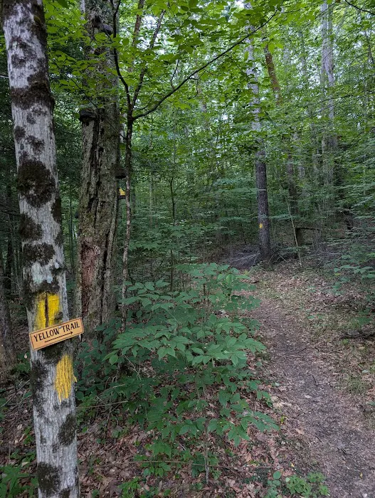 Jones Pond Mens Only Campground & RV Park Picture 9