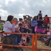 McCarthy's Ranch and Campsite, LLC ico