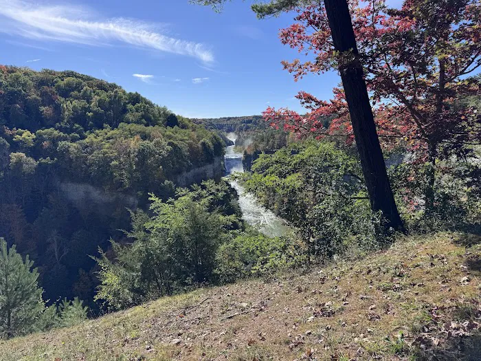 Letchworth State Park D Cabins Picture 3