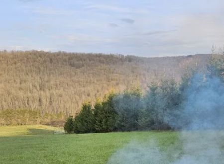 Bines Hill Campsites