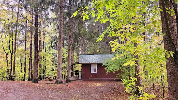 Woodstream Campsite Picture 3