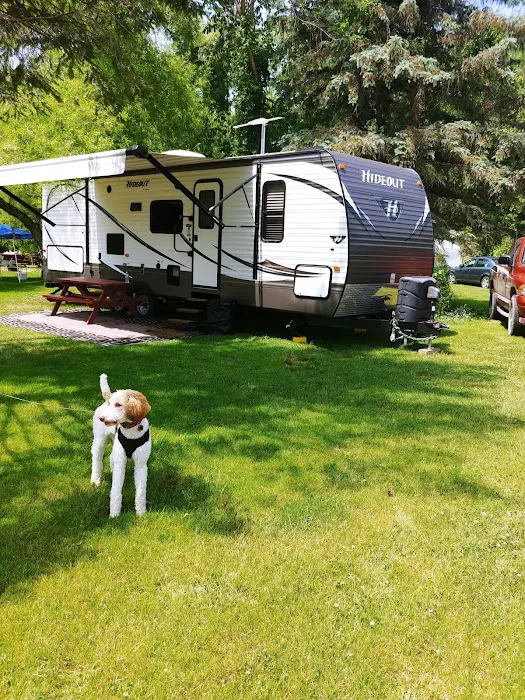 Woodstream Campsite Picture 6