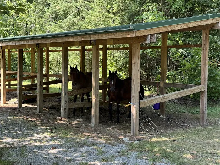 Frontier Town Campground, Equestrian and Day Use Area Picture 1