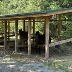Frontier Town Campground, Equestrian and Day Use Area