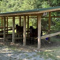 Frontier Town Campground, Equestrian and Day Use Area ico