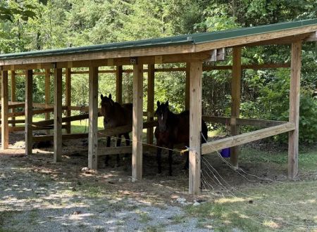 Frontier Town Campground, Equestrian and Day Use Area