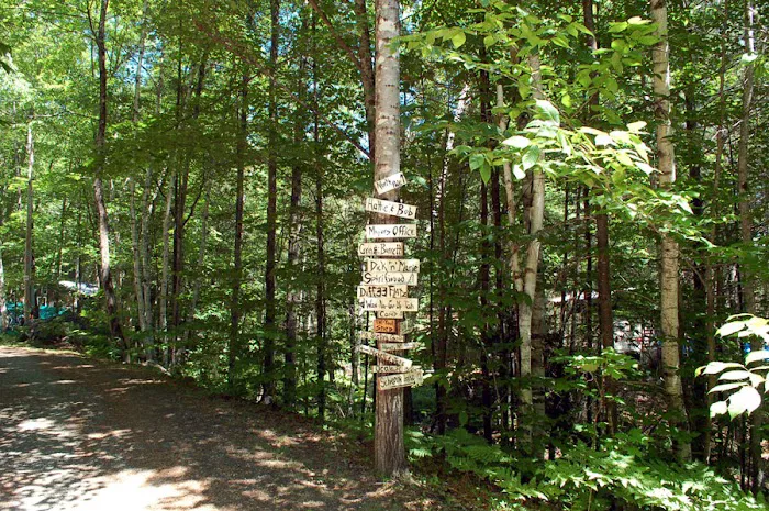 Blue Ridge Falls Campsites Picture 4