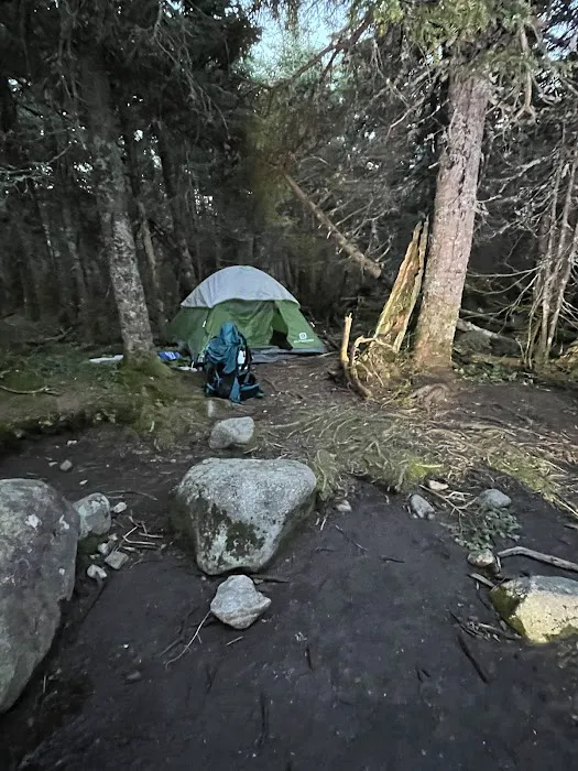 Lake Colden camping Picture 1