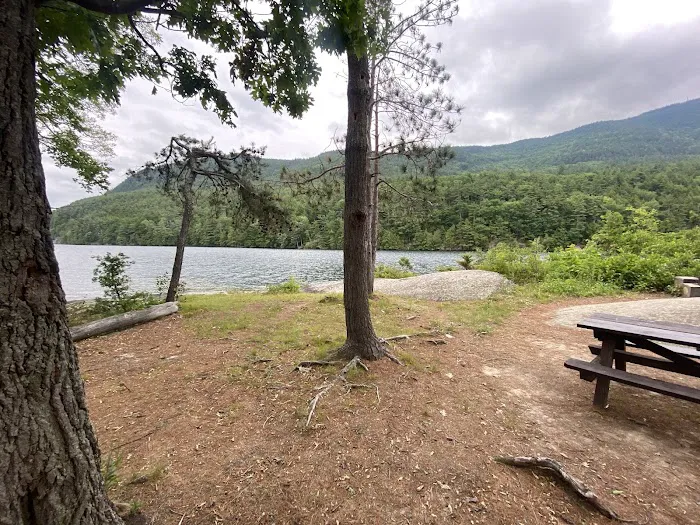 Cooper Island Campground Picture 4