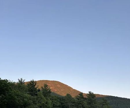 Duran Island Campgrounds #1-8