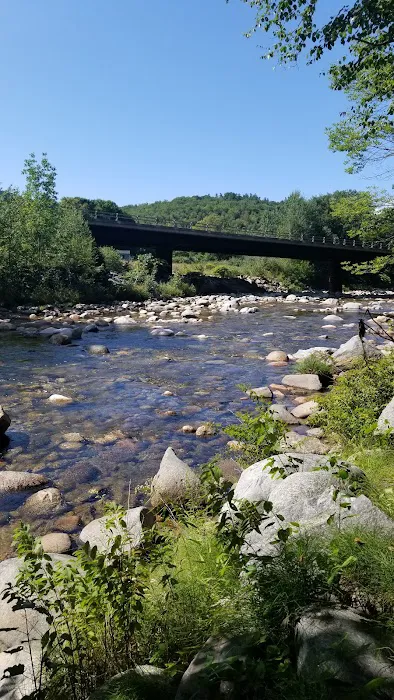 Goose Hollow Camp & RV Park Picture 9