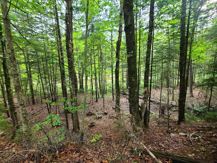 Waterville Campground Picture 9