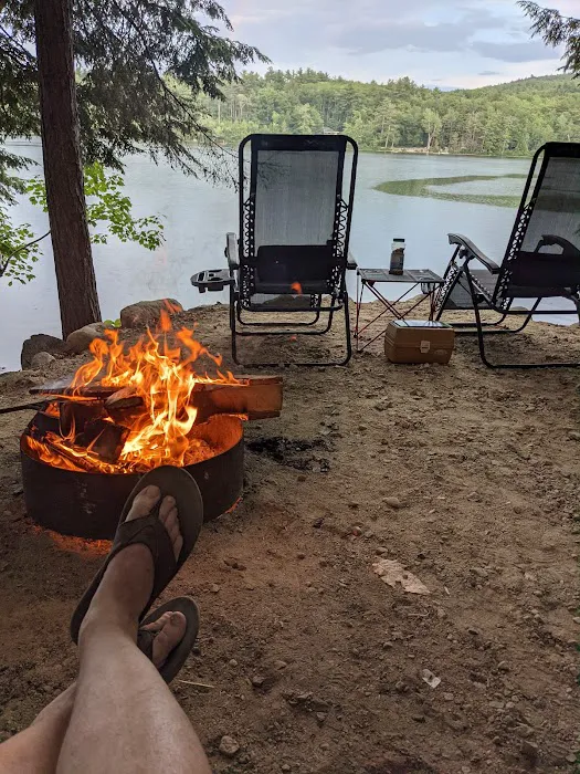 Terrace Pines Camping Area (A Modern America Campground) Picture 2