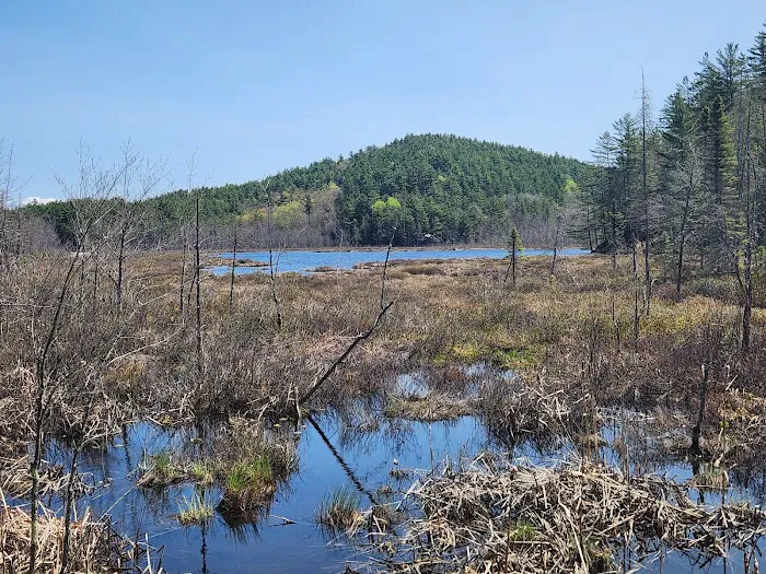 Lincoln Pond Campground Picture 7