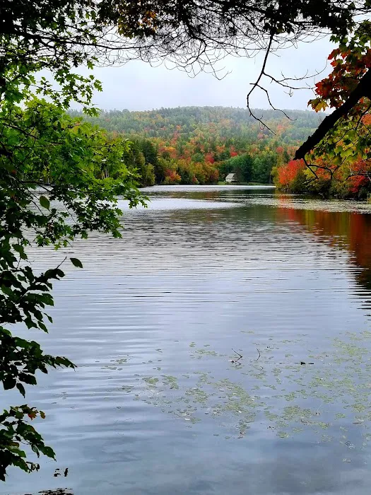 Lincoln Pond Campground Picture 10