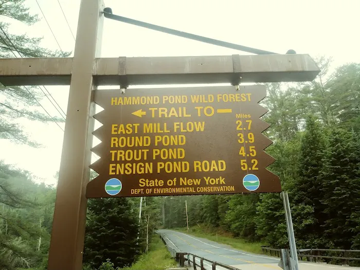 Sharp Bridge Campground Picture 6