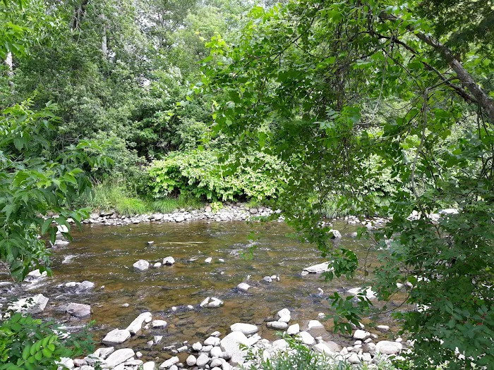 Moose River Campground Picture 2