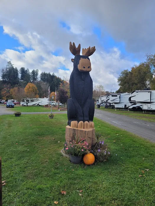 Moose River Campground Picture 1