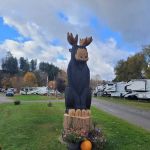 Moose River Campground