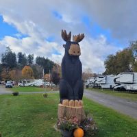 Moose River Campground ico