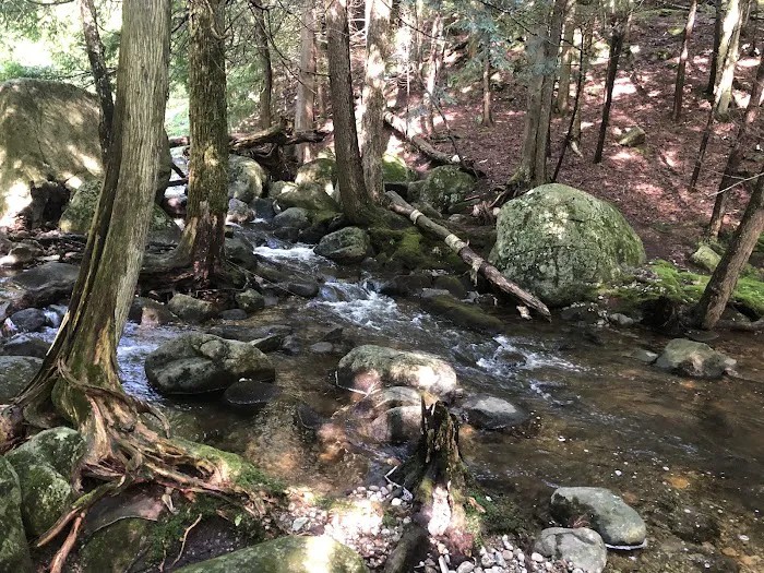 Chapel Pond Campsites Picture 5