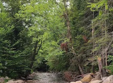 Fransted Family Campground & RV Park