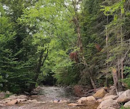 Fransted Family Campground & RV Park