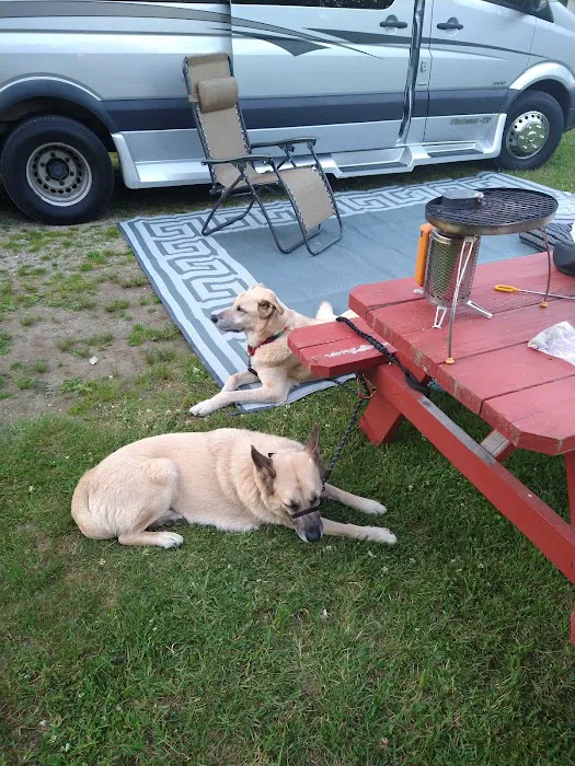 Breezy Meadows Campground Picture 6